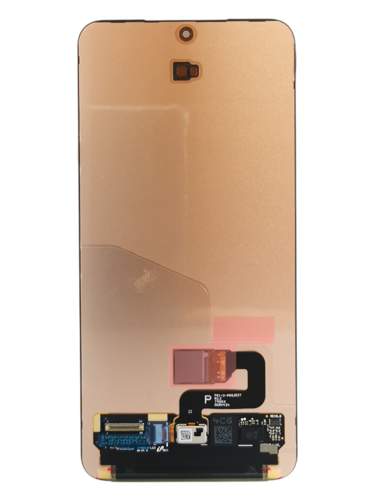 Samsung S25 5G 2024 (NF)